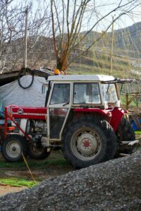 Siauresnių ratų mini traktorius dirba sename obelų sode.